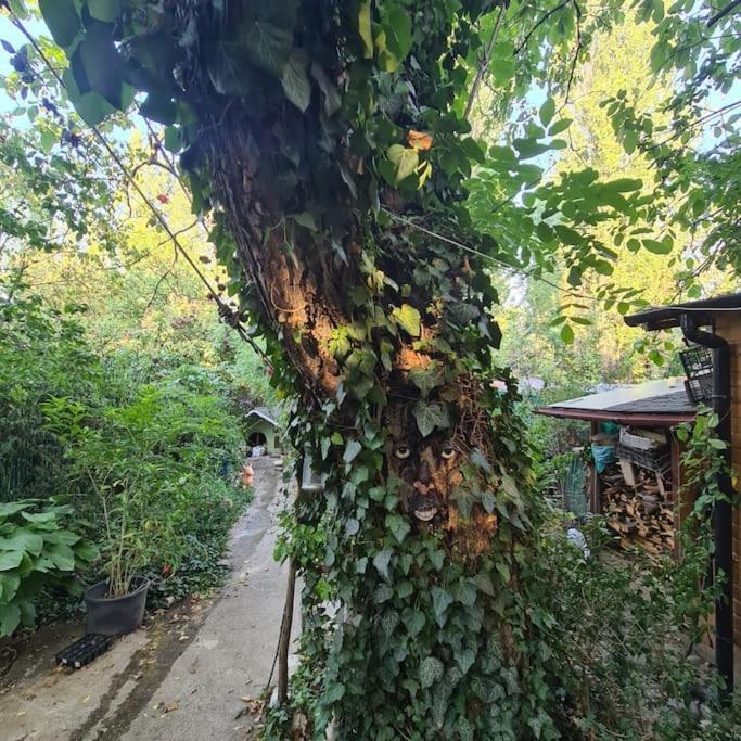 Mansarda Boema, Gradina De Basm * Bukarest