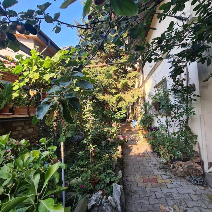 Ferienhaus Mansarda Boema, Gradina De Basm Bukarest